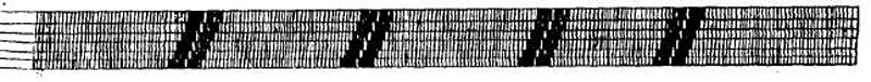 Wampum text